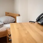 Zamek Piastowski W Raciborzu Apartmanhotel