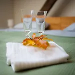 Zamek Piastowski W Raciborzu Apartmanhotel Racibórz