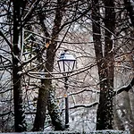Apartmanhotel Zamek Piastowski W Raciborzu