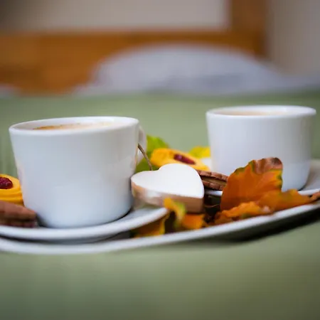 Zamek Piastowski W Raciborzu Racibórz