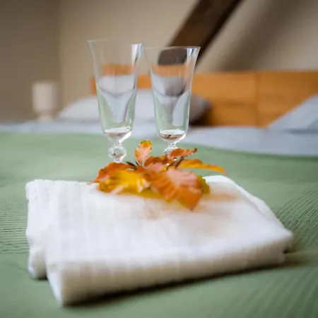 Zamek Piastowski W Raciborzu Aparthotel Racibórz
