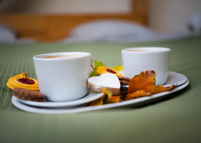 Zamek Piastowski W Raciborzu 라시보르츠