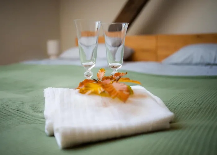 Zamek Piastowski W Raciborzu 아파트호텔 라시보르츠