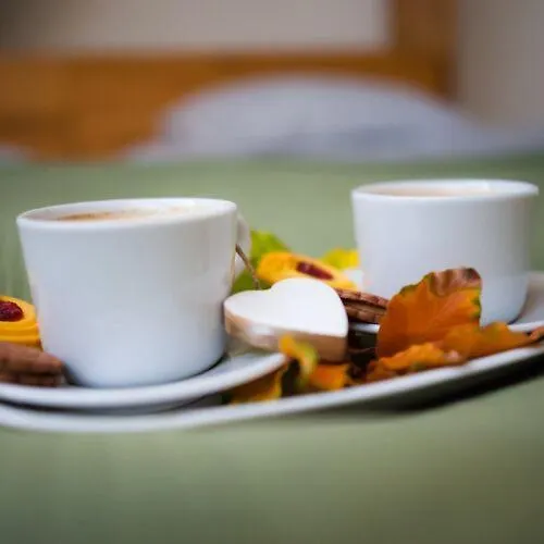 Zamek Piastowski W Raciborzu 아파트호텔 라시보르츠