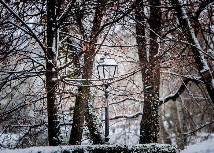 Zamek Piastowski W Raciborzu 아파트호텔 3*