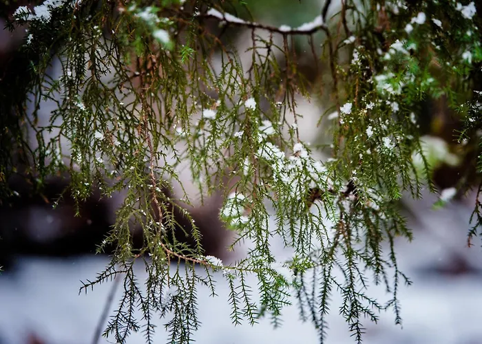 아파트호텔 Zamek Piastowski W Raciborzu 라시보르츠