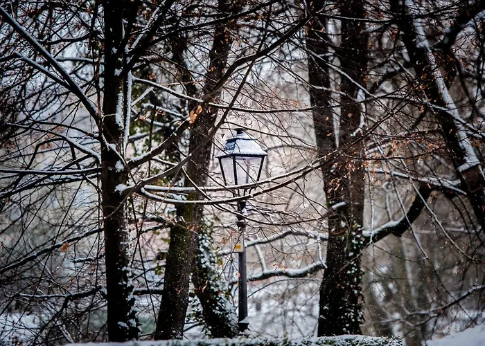 아파트호텔 Zamek Piastowski W Raciborzu